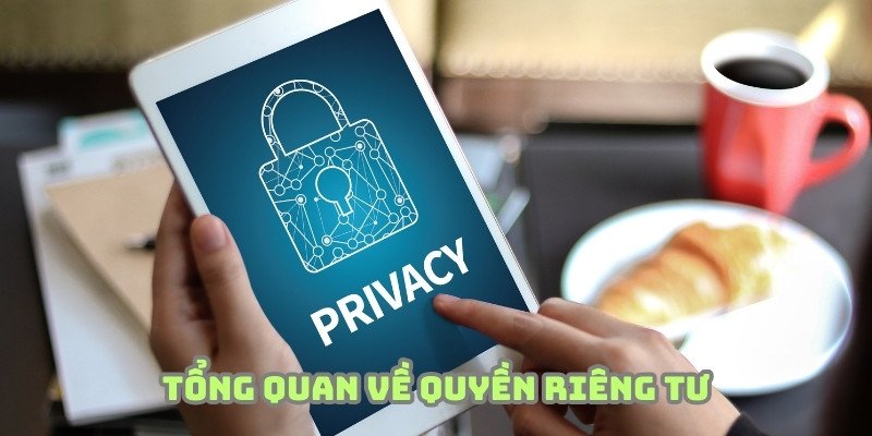 Chính sách được nền tảng chú trọng xây dựng bài bản