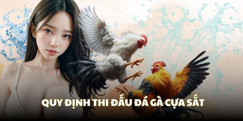 Thời gian thi đấu chọi gà cựa sắt khá nhanh so với đá gà đòn